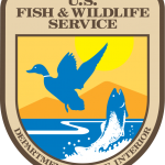 603px-US-FishAndWildlifeService-Logo.svg